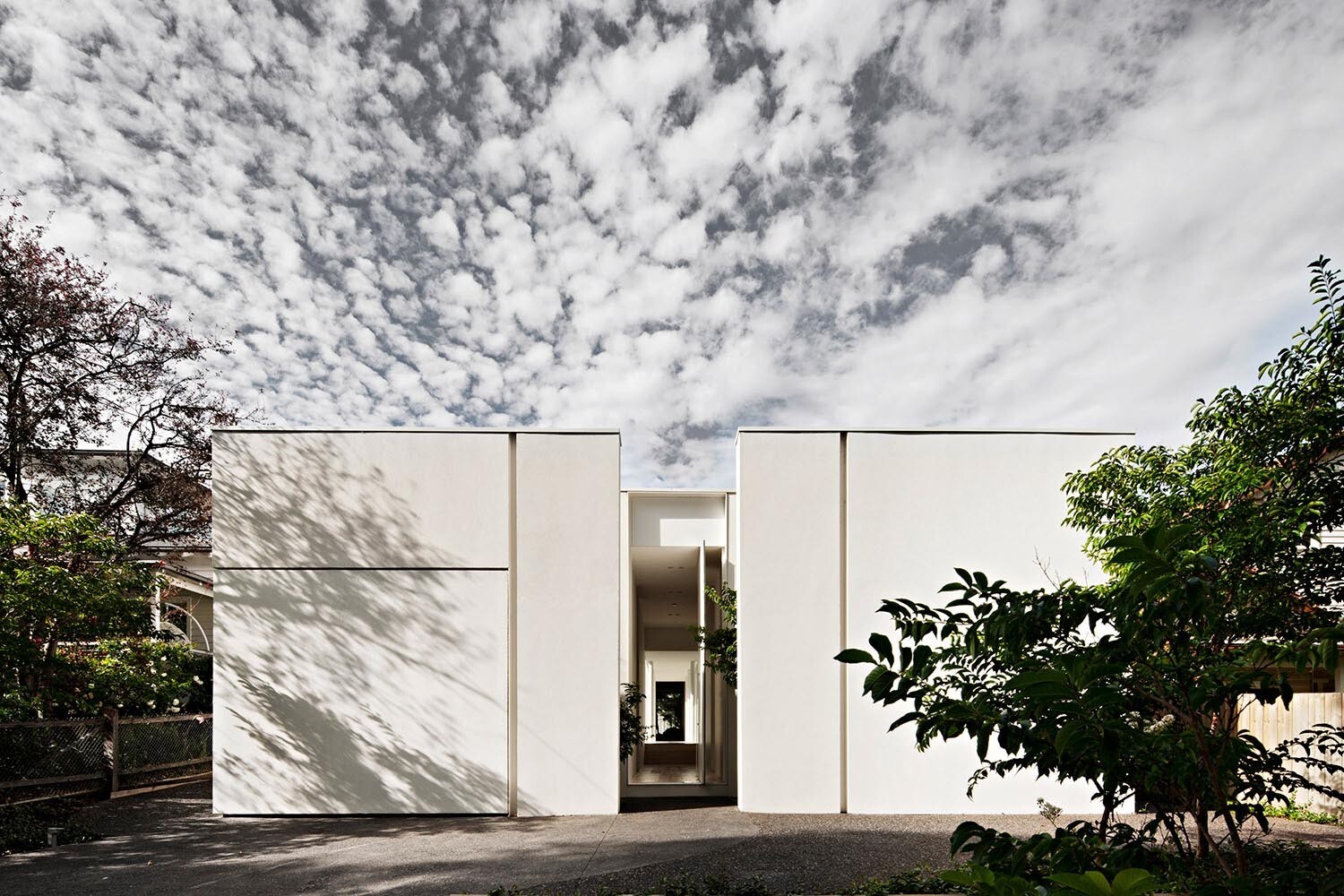 A minimalist white façade in Glen Iris becomes a canvas for shifting oak tree shadows, proving that simplicity can create the strongest architectural statement.