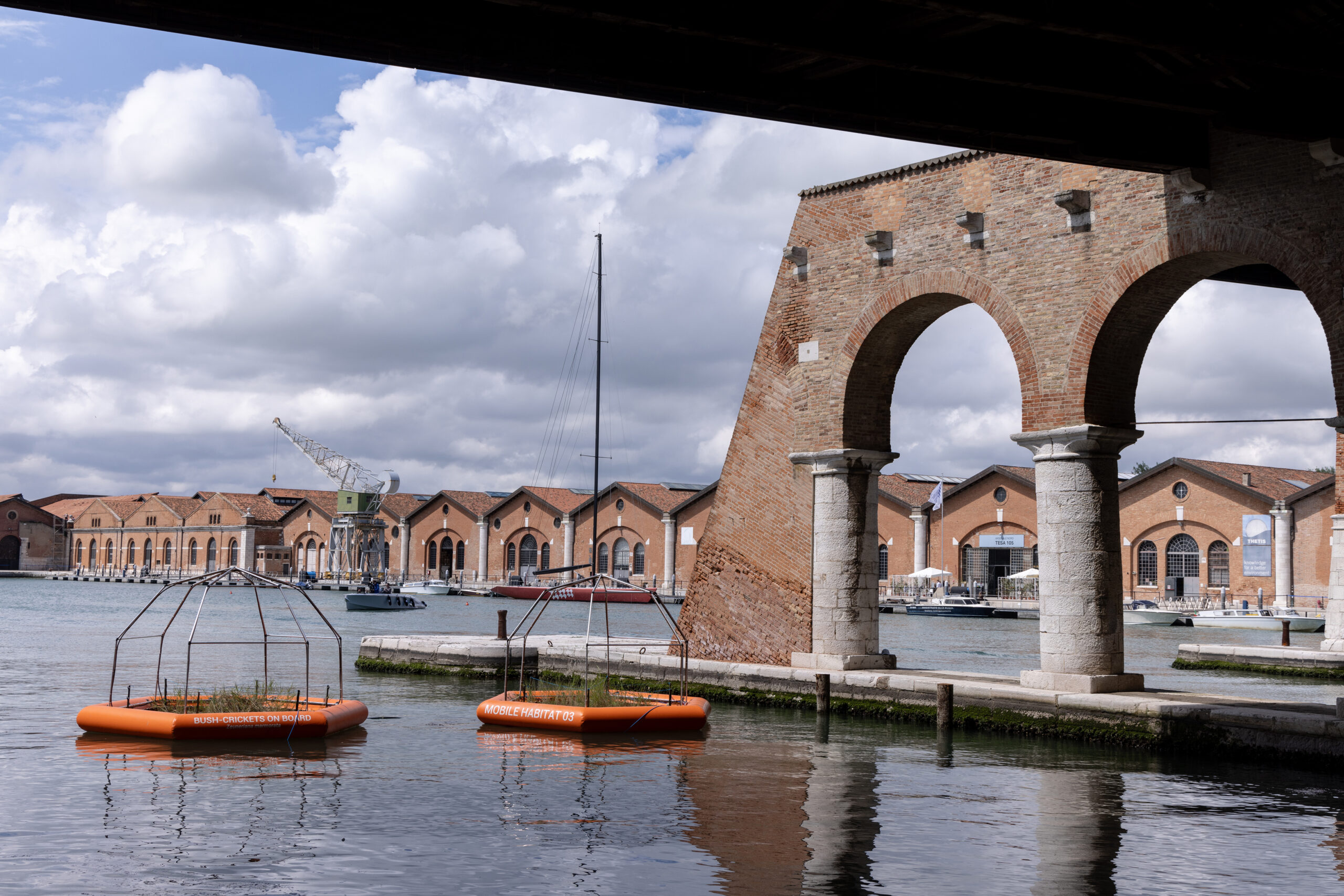 Song of the Cricket by the Urban Ecology and Design Lab (UEDLAB), Venice, Italy Jury Winner, Sustainable Landscape/Planning Project, 14th Annual A+Awards